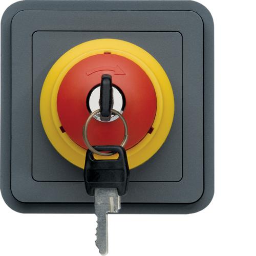 Photo cubyko Arrt d'urgence avec cl associable gris IP55 | Ref : WNA032