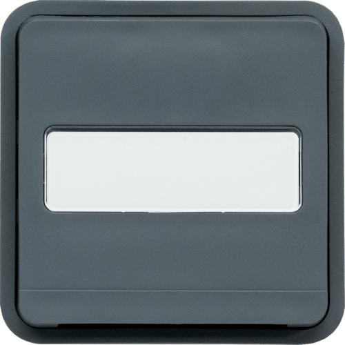 Photo cubyko Prise 2P+T avec porte-tiquette associable gris IP55 | Ref : WNA104
