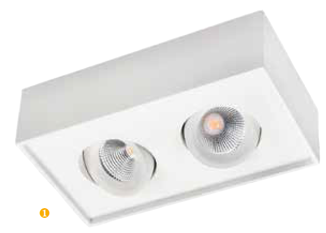 Photo CUBE LUX downlight en saillie 360 blanc LED 2x7W 2700K classe II IP20 | Ref : 902548