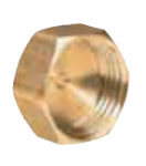 PB TUB Bouchon plein f 3/4  plat bouchon pour collecteur BOUFP4