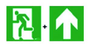 AEES Kit 10 picto europe baes/lsc 6660555