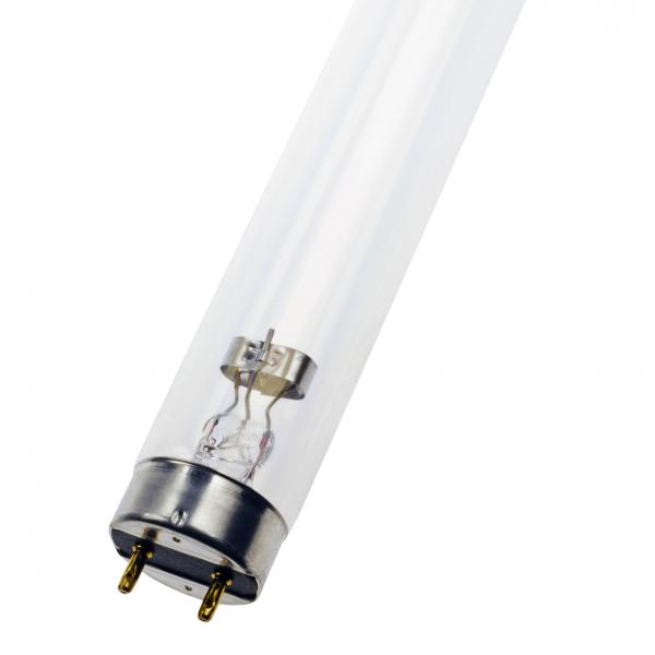 Photo PHI UVC 15W Tube fluorescent T8 G13 15W Germicide TUV HNS Clair 26x437mm | Ref : FT015GERM/01