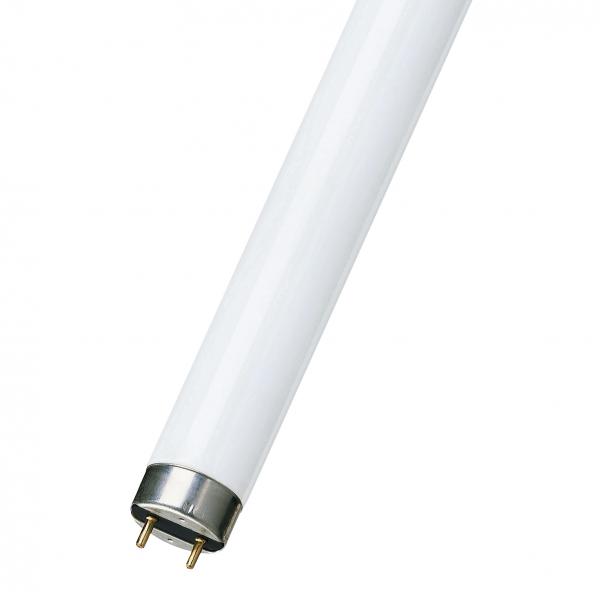 Photo SYL TL T8 G13 26X750mm 25W 840 Tube fluorescent | Ref : FT02584030/03