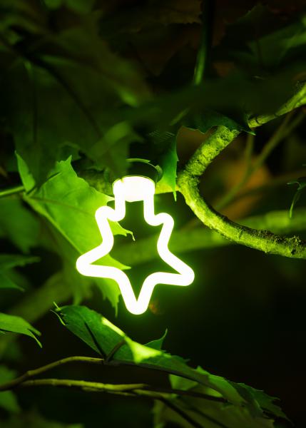 Vignette 3 produit Ref : 143067 | BAI LED Party Bulb Neon Etoile E27 4W Vert 300lm 230V-240V 360 82x120mm