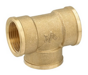 Photo Te femelle 1 1/4 brut | Ref : 238-8I