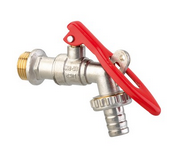 Photo ROB RAN BS CADEN. 1/2-3/4 CH/B | Ref : 77-8FG