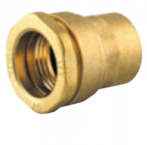 Photo produit Rf : SL501025
