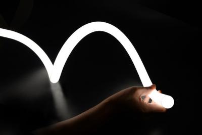 OGGILUCE SAS Nola (c�ble extr�mit�, 3000 kelvin, 2,5 2500032