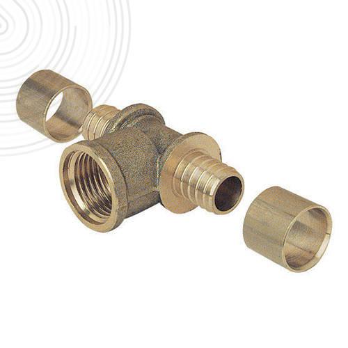 Photo Te femelle fixe 12-1/2 | Ref : 2308-12-15