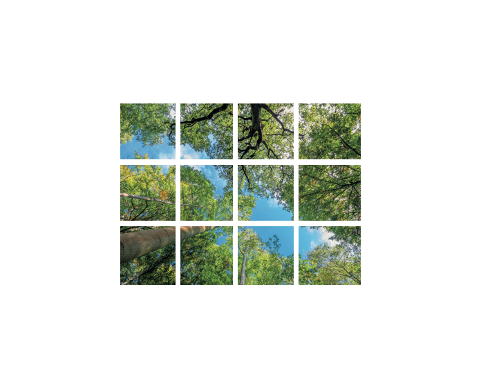 Photo DALLE LED DECORATIVE LIVRE AVEC DRIVER | Ref : VIS-SKY-E-43P