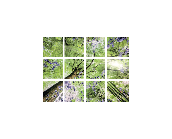Photo DALLE LED DECORATIVE LIVRE AVEC DRIVER | Ref : VIS-SKY-F-43P