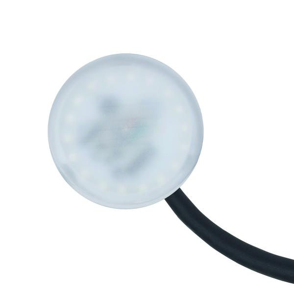 Vignette 2 produit SPOT PLOT LED SAILLI BLEU 4W 12VDC | Ref : PLBLEU
