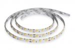 IN HOUSE LED Ruban led blanc 14,4w/m 24vdc 3000k 900lm 5ml ip65 SISNE-5050-WW2-24V
