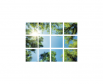 IN HOUSE LED Dalle led decorative livre avec driver VIS-SKY-C-43P