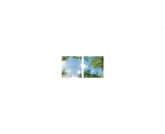 IN HOUSE LED Dalle led decorative livre avec driver VIS-SKY-D-21P