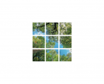 IN HOUSE LED Dalle led decorative livre avec driver VIS-SKY-E-33P