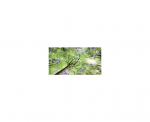 IN HOUSE LED Dalle led decorative livre avec driver VIS-SKY-F-1PL