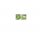 IN HOUSE LED Dalle led decorative livre avec driver VIS-SKY-F-21P