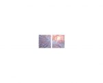 IN HOUSE LED Dalle led decorative livre avec driver VIS-SKY-H-21P