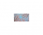 IN HOUSE LED Dalle led decorative livre avec driver VIS-SKY-I-1PL