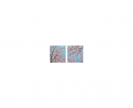 IN HOUSE LED Dalle led decorative livre avec driver VIS-SKY-I-21P