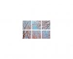 IN HOUSE LED Dalle led decorative livre avec driver VIS-SKY-I-32P