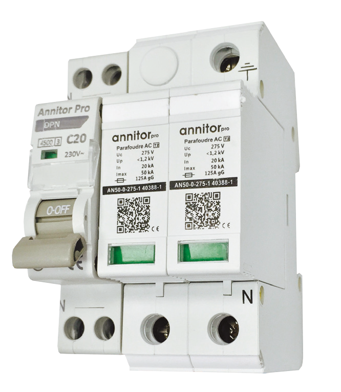 Photo paraf T2 1P+N disj dbro 50kA | Ref : ANP50-2-275