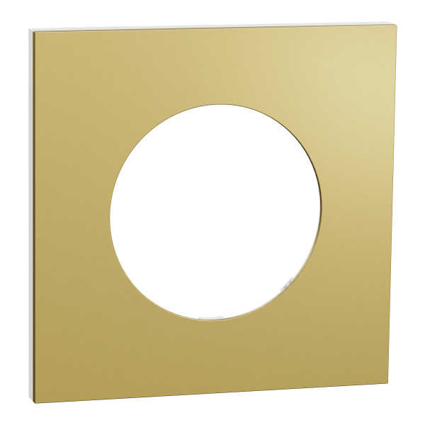 Photo New Odace  Mtal - plaque de finition 1 poste - effet Laiton support blanc | Ref : S911702