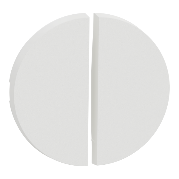 Photo New Odace  - enjoliveur seul - pour double va-et-vient ou poussoir - blanc craie | Ref : S929210