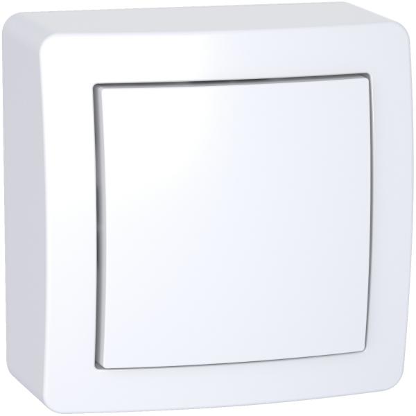 Photo Alra, Interrupteur simple allumage avec cadre saillie blanc polaire | Ref : ALB62050P