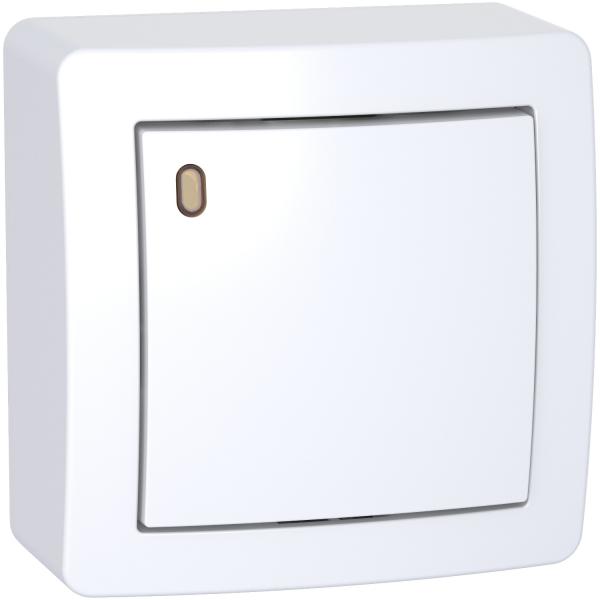 Photo Alra, Va-et-vient lumineux forte luminosit avec cadre saillie, blanc polaire | Ref : ALB62057P