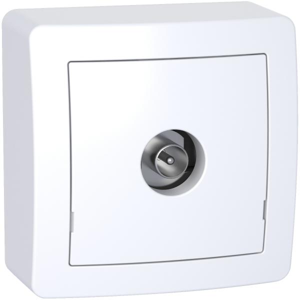 Photo Alra, Prise TV simple mle blinde, 1 sortie avec cadre saillie, blanc polaire | Ref : ALB62311P