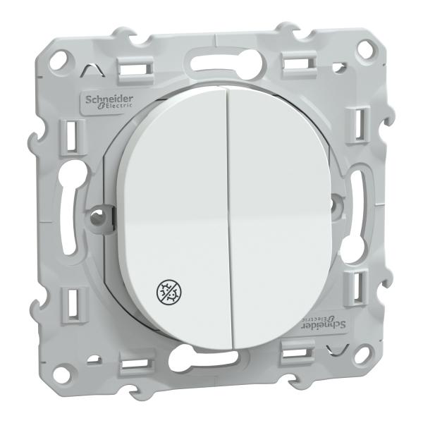 Photo Ovalis - double va-et-vient - antibactrien - Fixation par vis - 3x2 bornes auto - 10 AX - 250 V CA 50 Hz - IK04 - IP21 D - couvercle de protection peinture - Certifi NF | Ref : S300214