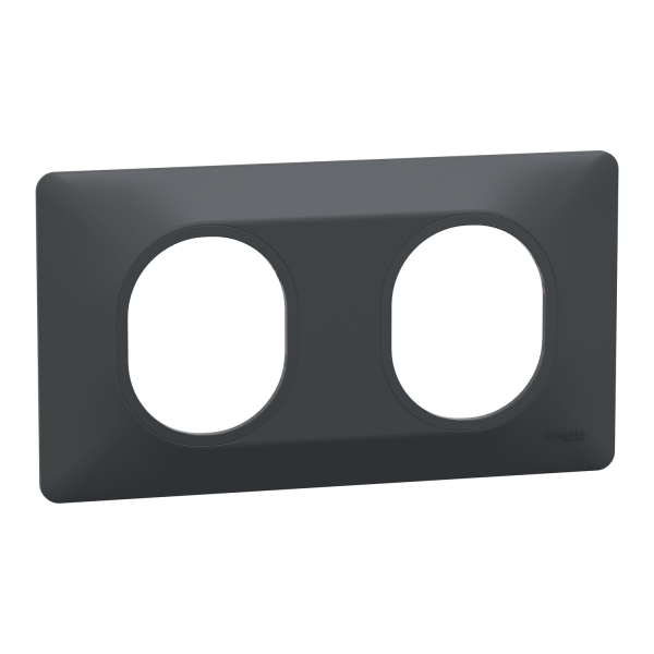 Photo Ovalis - Plaque de finition - 2 postes Horizontal - entraxe 71mm - Anthracite | Ref : S340704