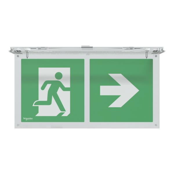 Vignette 2 produit Exiway Smart - accessoire drapeau pour bloc évacuation | Ref : OVA59822