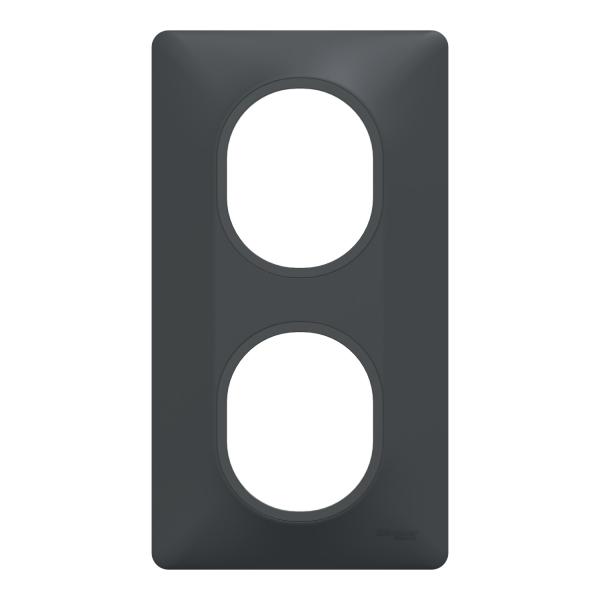 Vignette 2 produit Plaque 2 postes Vert 71mm Anth | Ref : S340724