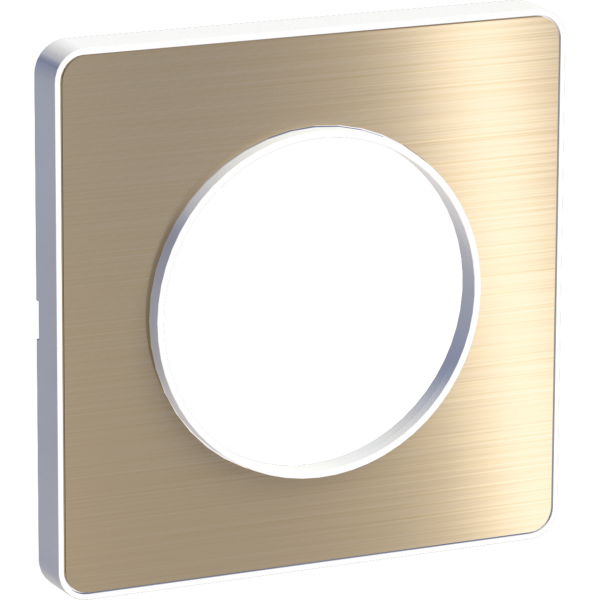 Vignette 2 produit Odace Touch, plaque Bronze bross avec liser Blanc 1 poste | Ref : S520802L