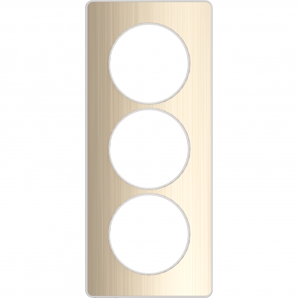 Vignette 2 produit Odace Touch, plaque Bronze bross avec liser Blanc 3 postes verticaux 57mm | Ref : S520816L
