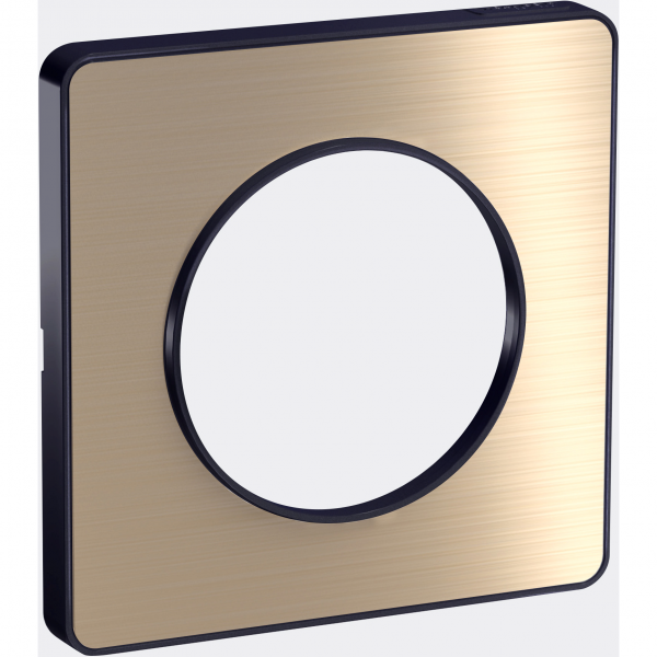 Vignette 2 produit Odace Touch, plaque Bronze bross avec liser Anthracite 1 poste | Ref : S540802L