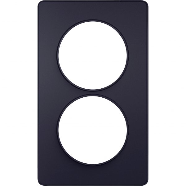 Vignette 2 produit Odace Touch -  plaque 2 postes verticaux entraxe 57mm anthracite | Ref : S540814