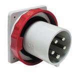 Photo produit Rf : 81882