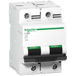 SCHNEIDER ELECTRIC Disjoncteur c120n 2p 100 a, courbe b, 10 ka A9N18346