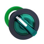 SCHNEIDER ELECTRIC Harmony xb5 - tte bouton  manette lumineux - flush - 2 pos fix - vert ZB5FK1233