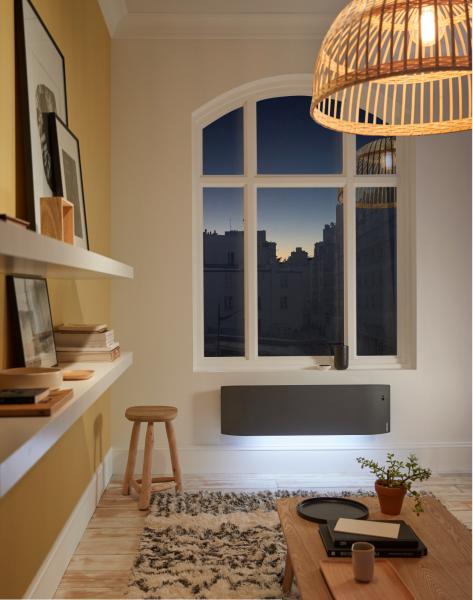 Vignette 2 produit Radiateur connect� Divali pilotage intelligent plinthe 1000W gris �toil� | Ref : 507632