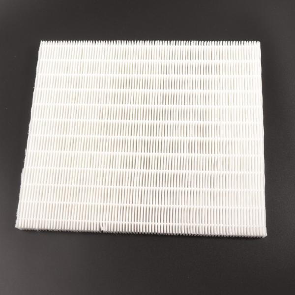 Photo pi�ce de rechange origine fabricant : filtre � air pompe � chaleur | Ref : 029370
