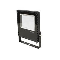 Photo PROJ. EXT. 100W 3000K | Ref : RCM10030-04