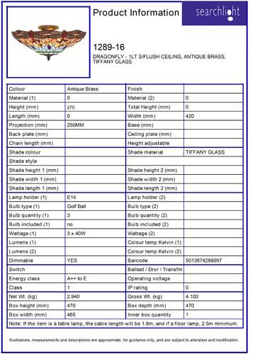 Vignette 3 produit Ref : 1289-16 | DRAGONFLY - 1LT S/Plafonnier CEILING, La
