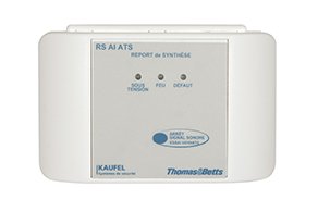 Photo RS AI ATS Report de synth�se | Ref : 532106       